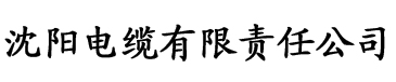 草莓视频 se电缆厂logo